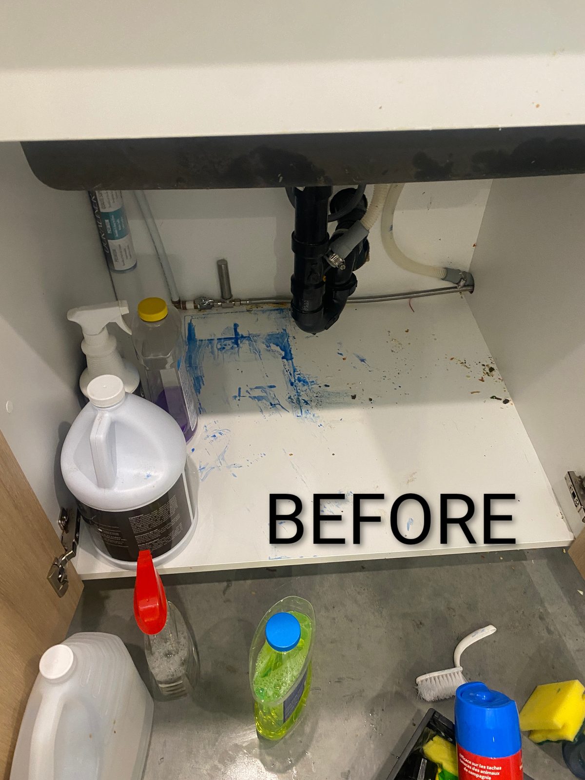 Before — cluttered space under a kitchen sink